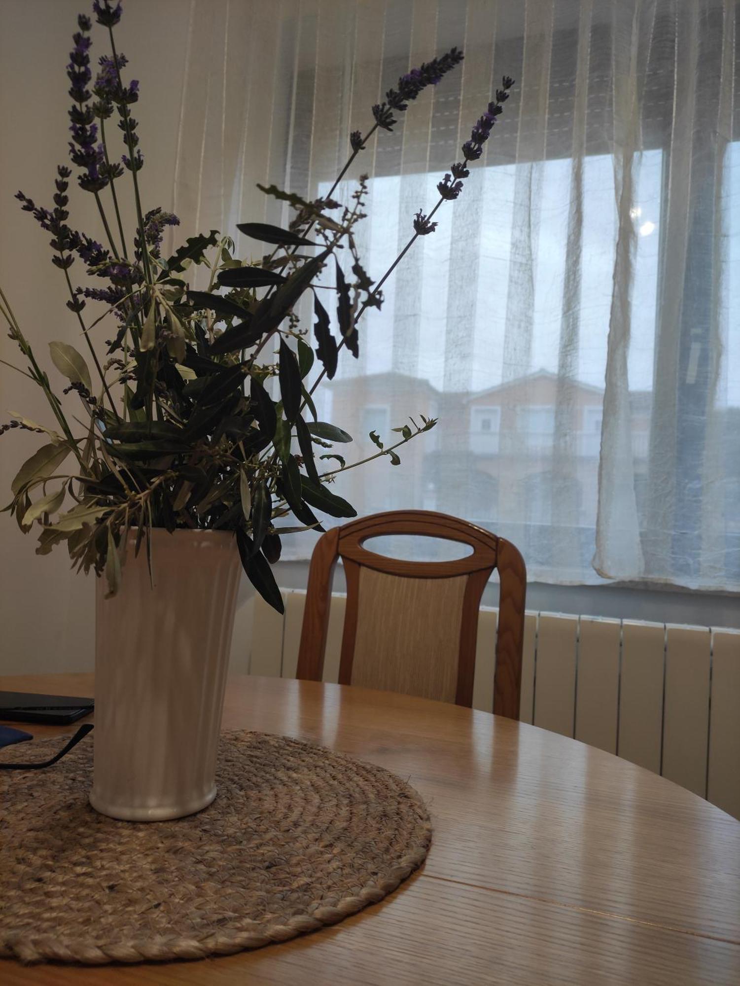 Apartament Grzic